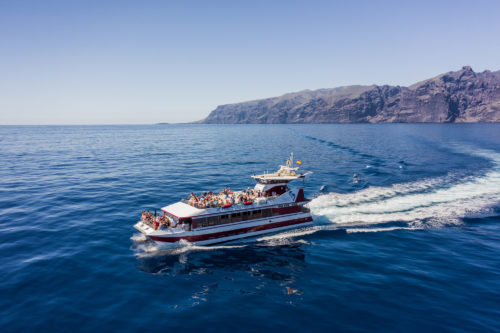 Hajókirándulás-és-bálnales-üvegfenekű-hajóval