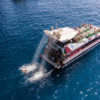 Hajókirándulás-és-bálnales-üvegfenekű-hajóval