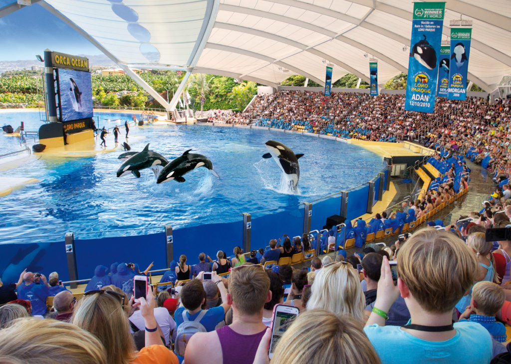 Loro Parque-világ-legjobb-állat-növényparkja-belépő