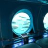 Tengeri-élővilág-megfigyelése-tengeralattjáróval