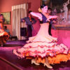 Flamenco-est-Puerto-de-La-Cruzban
