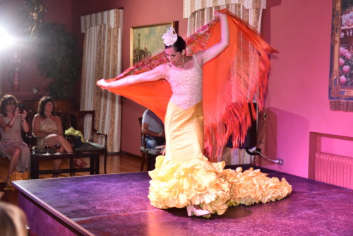 Flamenco-est-Puerto-de-La-Cruzban