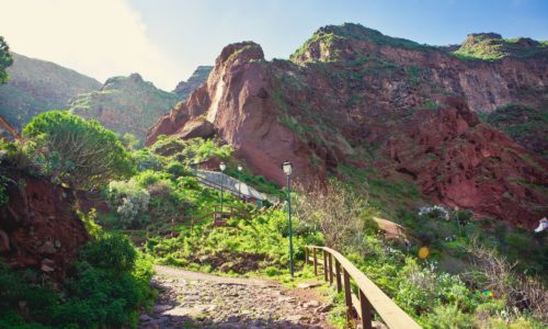 Gran-Canaria-látnivalók-Fél-napos-kirándulás-Telde-őslakosok-barlangépületei-olívafarm