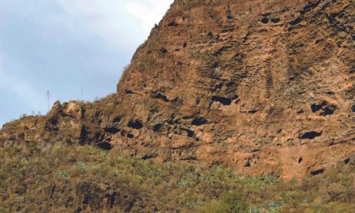 Gran-Canaria-látnivalók-Fél-napos-kirándulás-Telde-őslakosok-barlangépületei-olívafarm