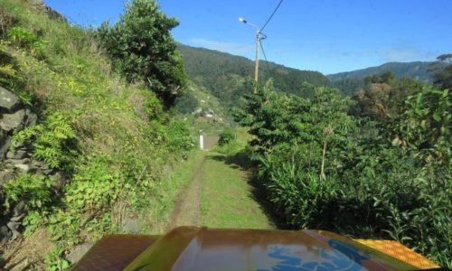 Madeira-látnivalók-Jeep-túra-Pico-Arrierio-tradicionális-piac