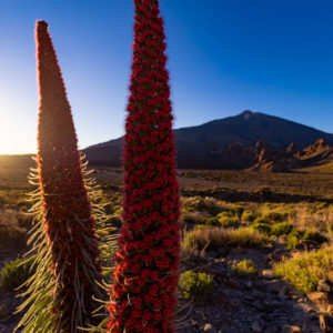 Tenerife-látnivalók-Naplemente-csillagos-égbolt-Teide-Nemzeti-Parkban