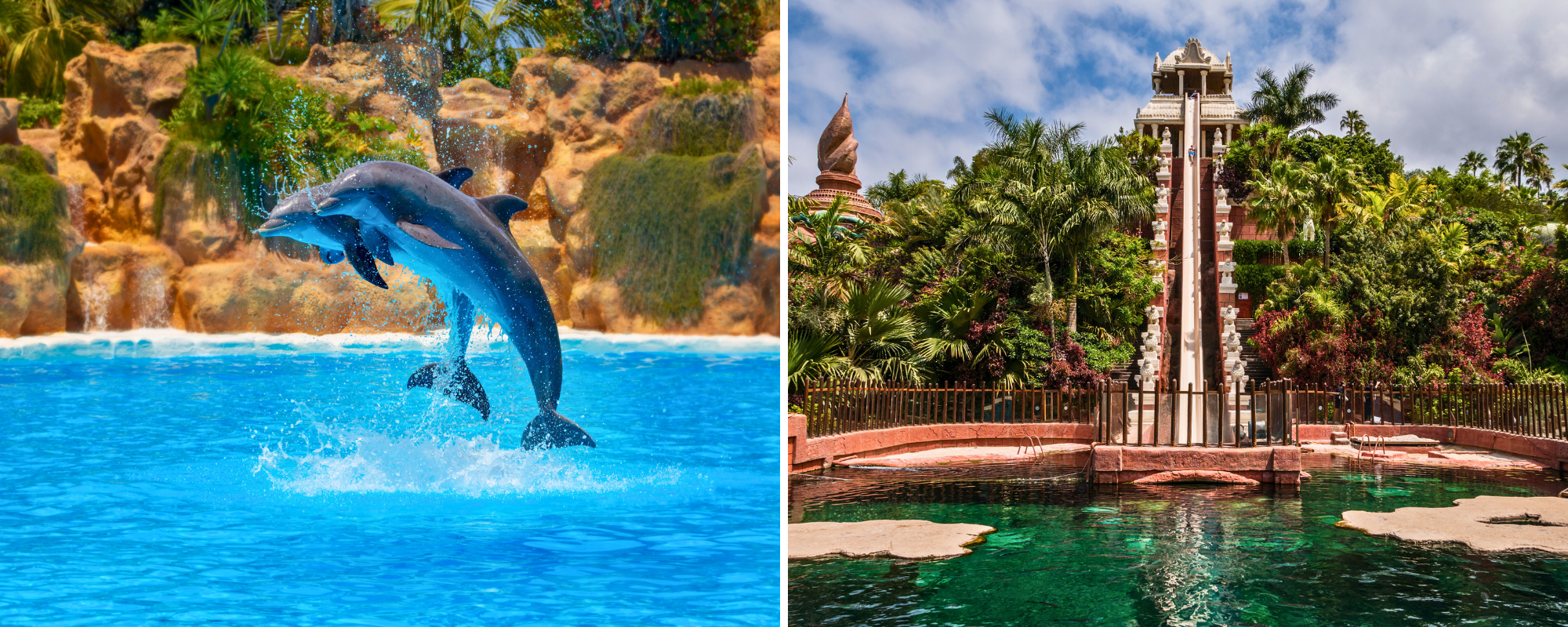 Loro és Siam park