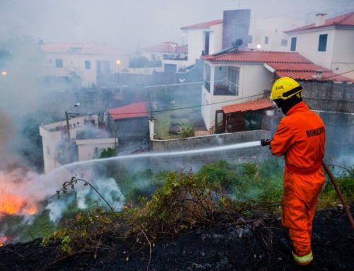 Madeira erdőtűz – Legfontosabb információk