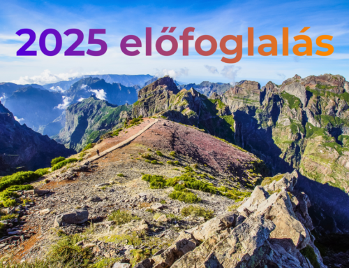 Madeira előfoglalás 2025: Utazz a ViaSale Travel-el!