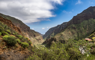 Barranco de Guayadeque2