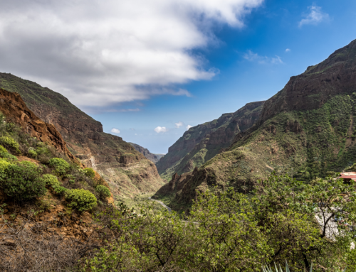 Gran Canaria: A Guayadeque-szurdok