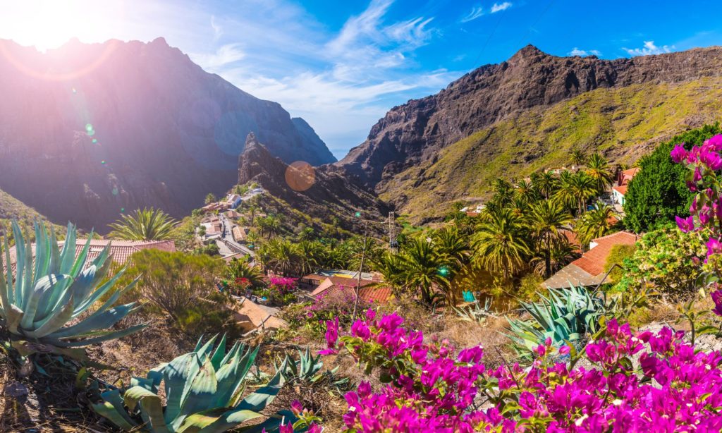 MASCA, Tenerife